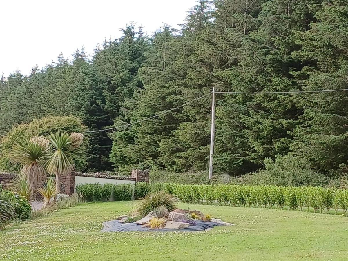 Ashburnum Cottage Bandon Εξωτερικό φωτογραφία